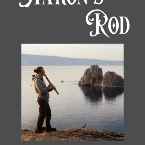 Aaron’s Rod by D. H. LAWRENCE