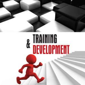 Training and Development by Lalitha Balakrishnan, Gowri Ramachandran