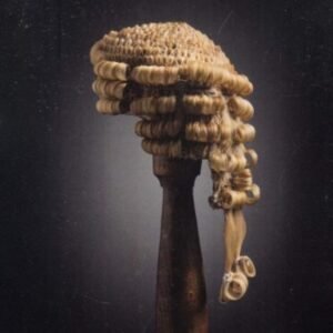 The Devil’s Advocate : A Spry Polemic on how to be Seriously Good in Court by Lain Morley QC – 3rd Edition, 2019